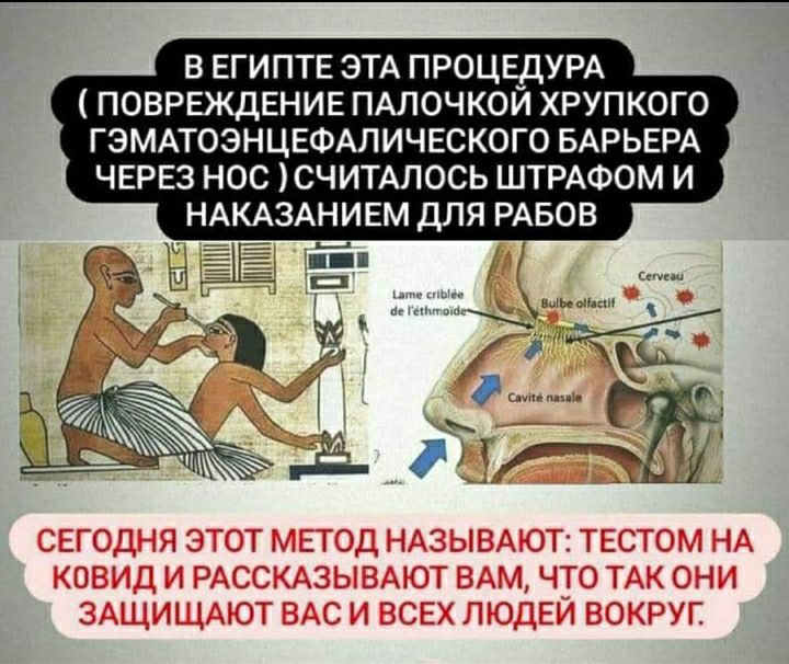 https://ic.pics.livejournal.com/lidiya_nic/28948637/278983/278983_original.jpg