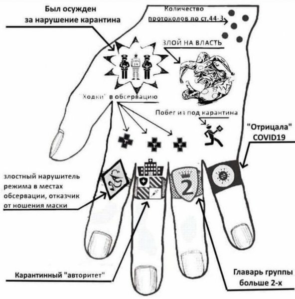 http://images.vfl.ru/ii/1590609730/1698b9e3/30640731.jpg