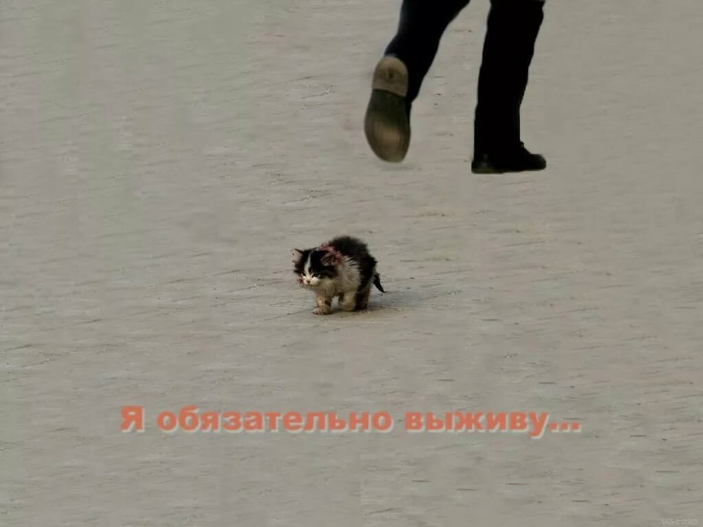 https://i.imgur.com/g3LW7Nr.jpg