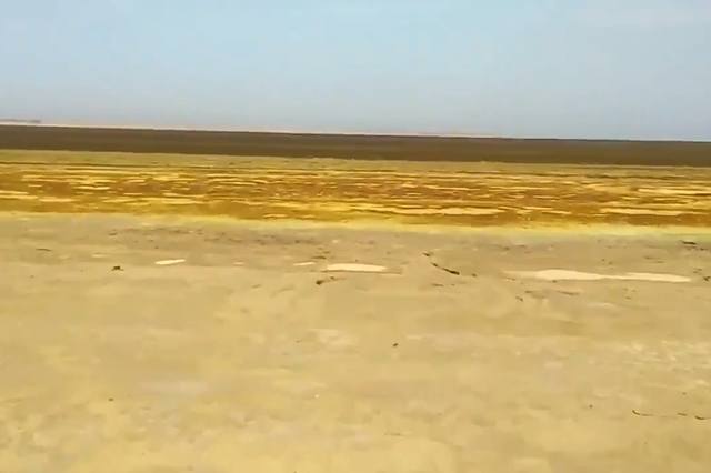 http://images.vfl.ru/ii/1535732428/27296194/23136887_m.jpg