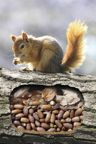 http://images.vfl.ru/ii/1634567306/474d7b26/36310589_m.jpg
