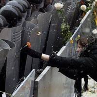http://images.vfl.ru/ii/1597583822/8c18fa76/31358564_s.jpg