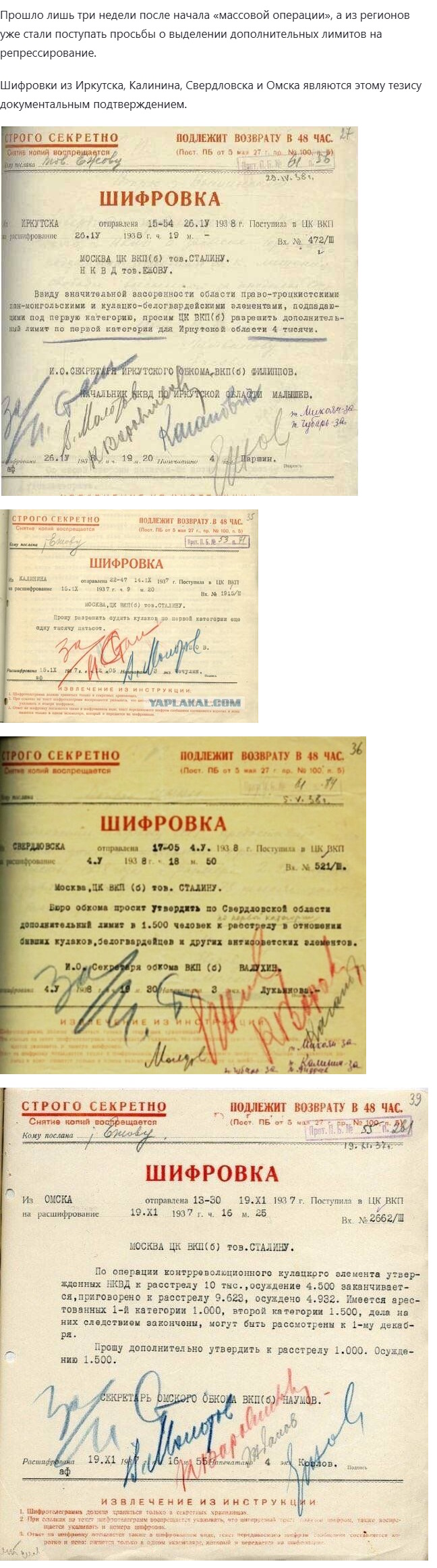 https://i1.imageban.ru/out/2025/01/20/8bdff7cd30619ebd28779b831fd823fe.jpg