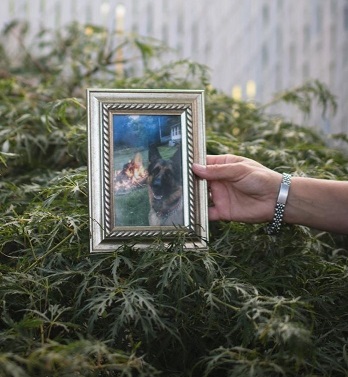 http://images.vfl.ru/ii/1612861743/2da3f68b/33268364.jpg