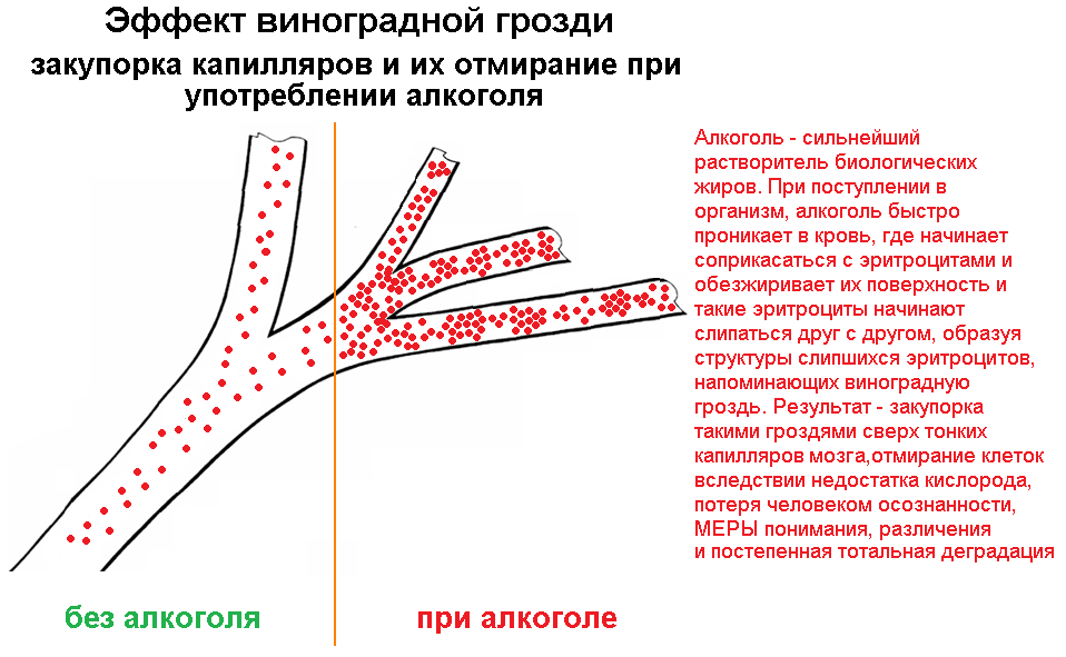 https://forumstatic.ru/files/0017/52/02/83528.png