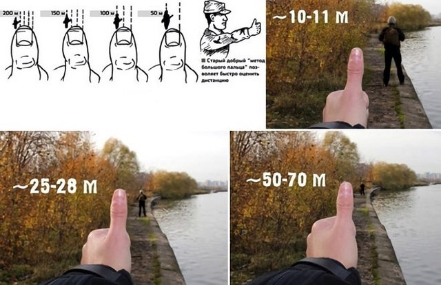 https://i.imgur.com/oQtXOW6l.jpg