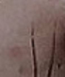 http://images.vfl.ru/ii/1503078437/749187f9/18294066_m.jpg