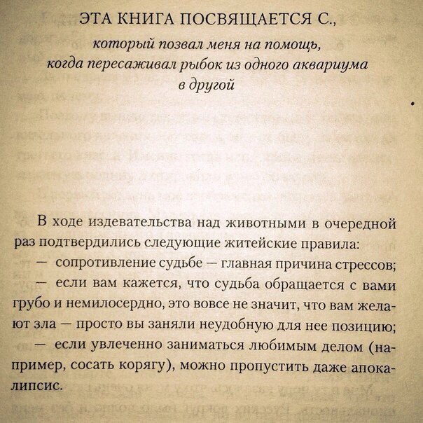 http://se.uploads.ru/uUOZ5.jpg