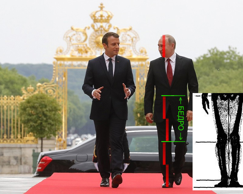 http://images.vfl.ru/ii/1496754888/617cbd20/17483908.jpg