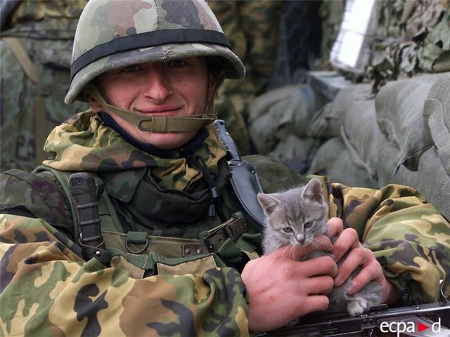 http://images.vfl.ru/ii/1404224237/834ca066/5594715.jpg