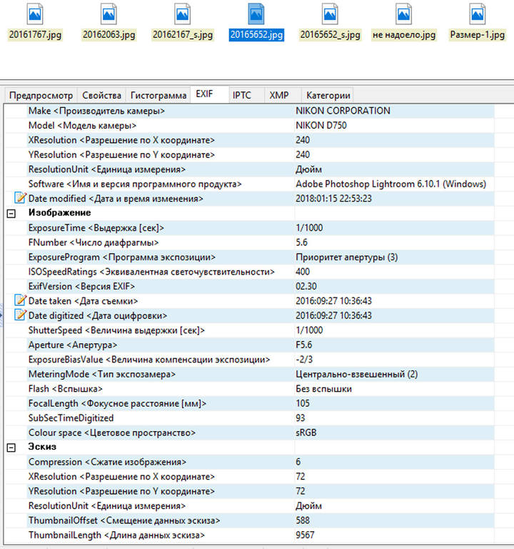 http://images.vfl.ru/ii/1516050636/24a116a6/20166284.jpg