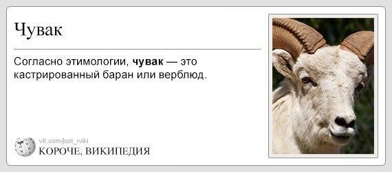 http://images.vfl.ru/ii/1609424457/5aadd834/32824637_m.jpg