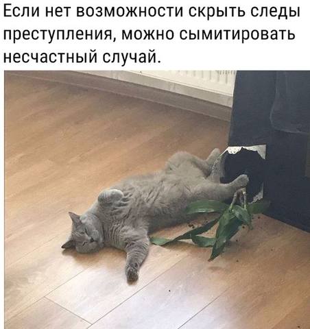 http://images.vfl.ru/ii/1564764224/ed11d428/27417911_m.jpg