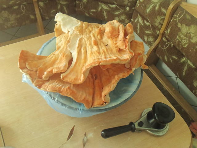 http://images.vfl.ru/ii/1505756628/7ba1eb8f/18651388.jpg