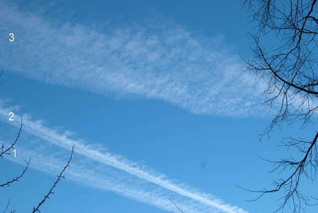 http://images.vfl.ru/ii/1521564412/589e0bac/21041534_m.jpg