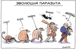 http://images.vfl.ru/ii/1532911763/8c62a2cf/22680142.jpg