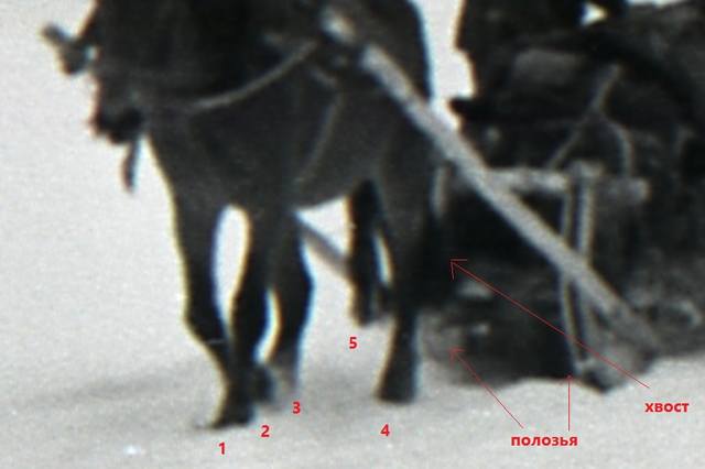 http://images.vfl.ru/ii/1558695264/1384c85f/26643635_m.jpg