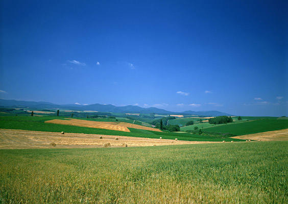 http://images.vfl.ru/ii/1498076254/2dccb98e/17661442_m.jpg