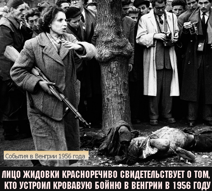 http://images.vfl.ru/ii/1401157689/261d3979/5257731.png