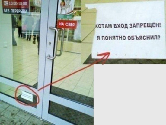http://images.vfl.ru/ii/1522358106/d66d235e/21168963.jpg