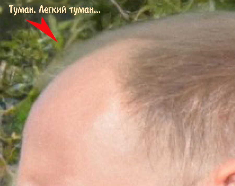 http://images.vfl.ru/ii/1588132204/19f82ea1/30359427.jpg