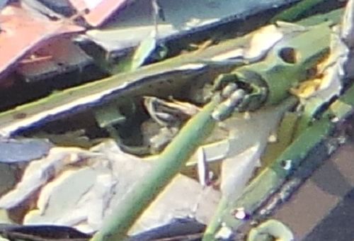 http://images.vfl.ru/ii/1406318562/835694c6/5804782.png