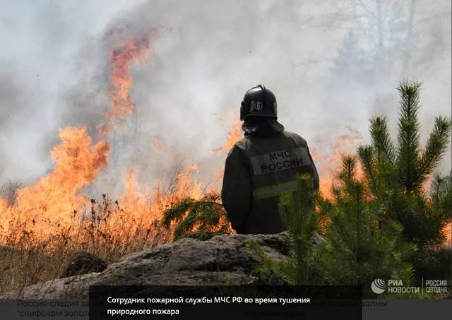 http://images.vfl.ru/ii/1591958617/815360e9/30788376.jpg