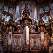 https://i.ibb.co/Lz9rYCf/organ2.jpg