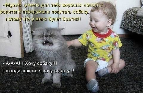 http://se.uploads.ru/t/osDzu.jpg