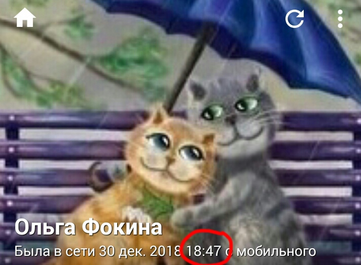 http://images.vfl.ru/ii/1546548691/1817d751/24812384.jpg