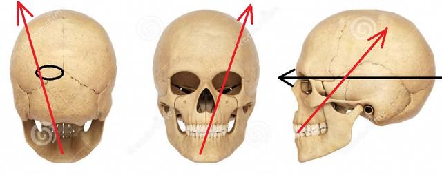 http://images.vfl.ru/ii/1544478581/d0d7d4a9/24552873_m.jpg