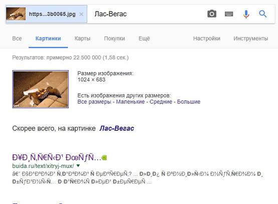 http://images.vfl.ru/ii/1507054372/f396ad0c/18845999_m.jpg