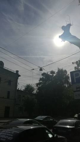 http://images.vfl.ru/ii/1498031674/0d3e5d84/17652747_m.jpg