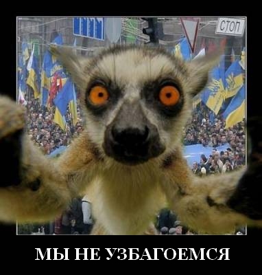 http://s7.uploads.ru/3NQSF.jpg