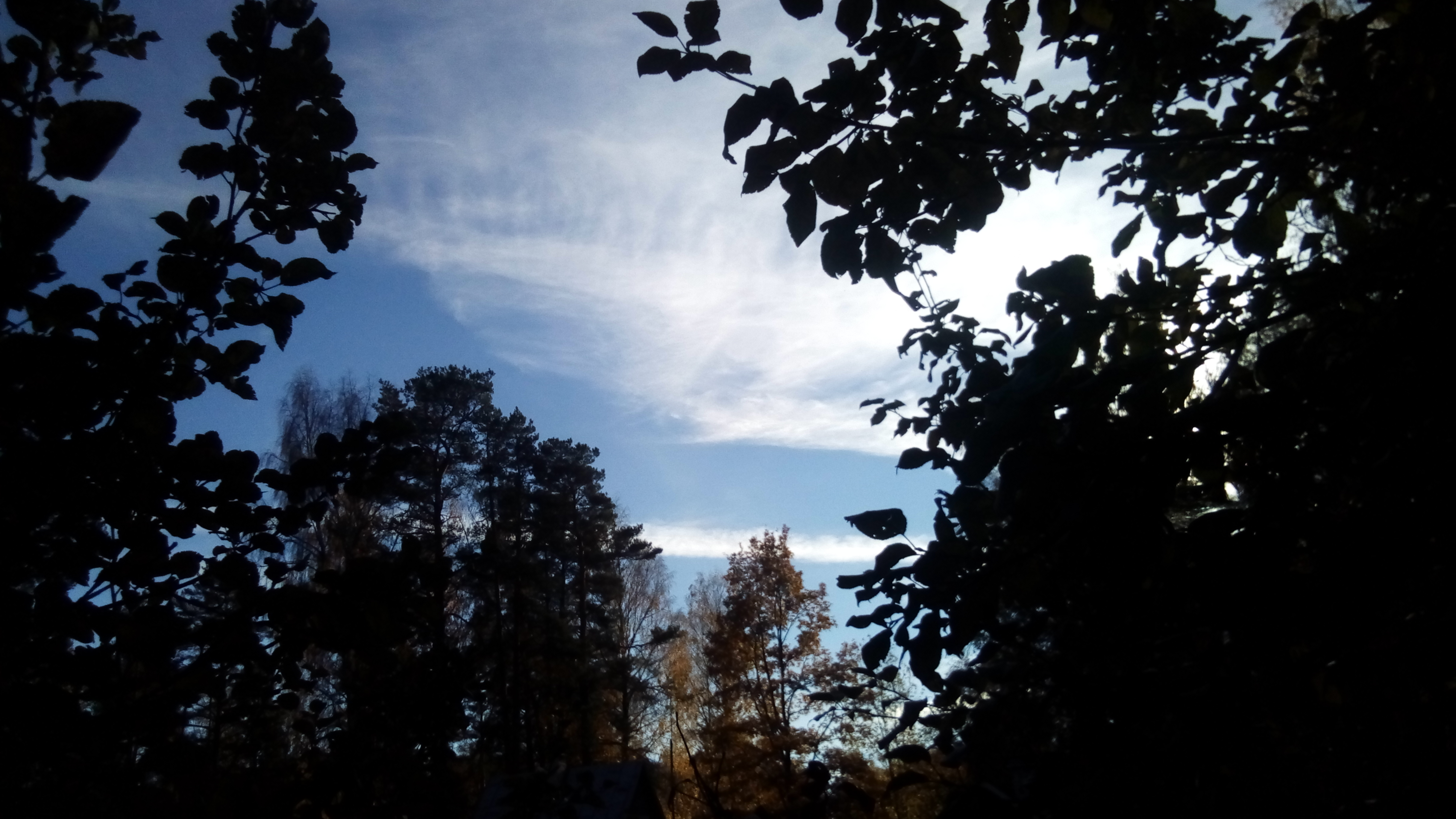 http://images.vfl.ru/ii/1539258946/d349b359/23746270.jpg