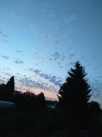 http://images.vfl.ru/ii/1564921448/d3d138db/27435090_m.jpg