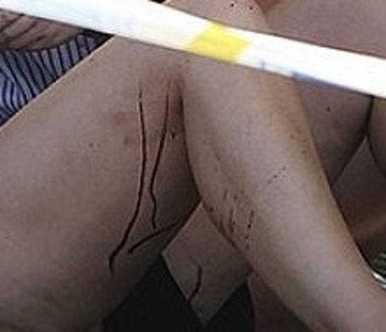 http://images.vfl.ru/ii/1503070617/862b81bb/18292952_m.jpg