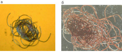 https://s.natural-sciences.ru/doc/use/i/2014/5-2/man2_fmt.jpeg