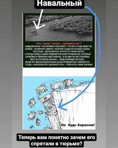 http://images.vfl.ru/ii/1611532602/e9b41c9d/33082296_m.jpg
