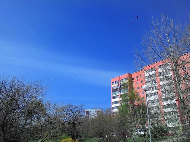 http://images.vfl.ru/ii/1526117020/177aeed4/21710300_m.jpg