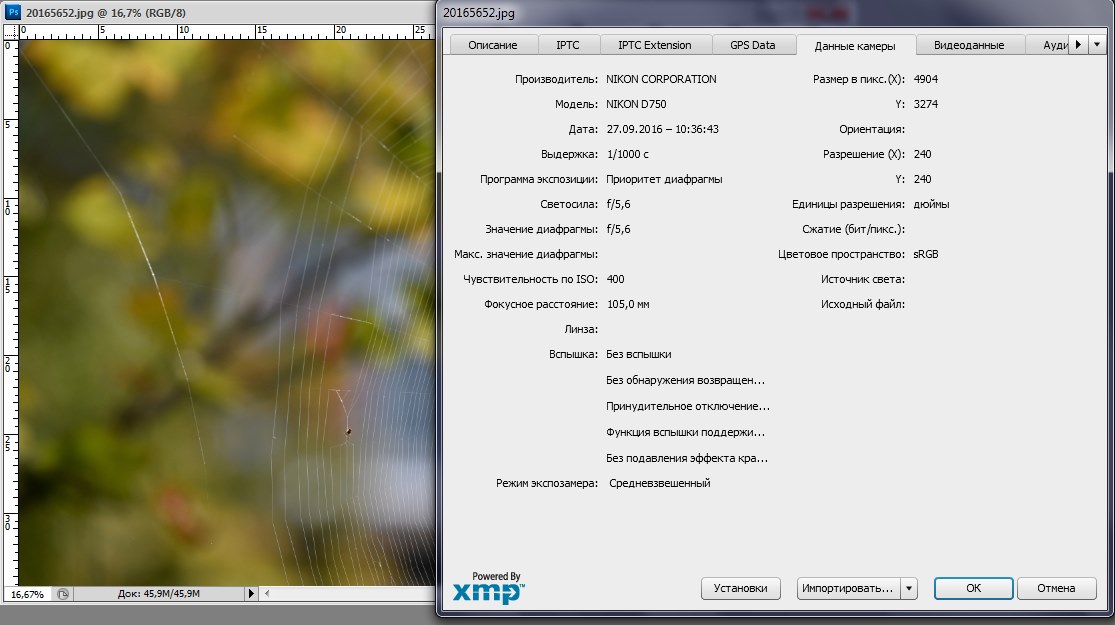 http://images.vfl.ru/ii/1516048950/f825aad7/20165934.jpg