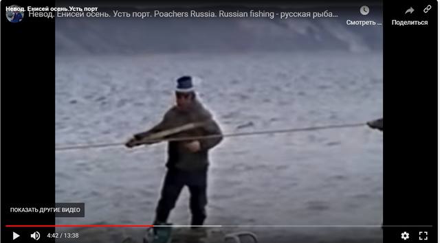 http://images.vfl.ru/ii/1610462704/e1ef40d7/32929105.jpg