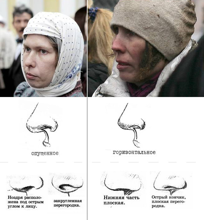 http://images.vfl.ru/ii/1494238375/4b63f048/17145857.jpg
