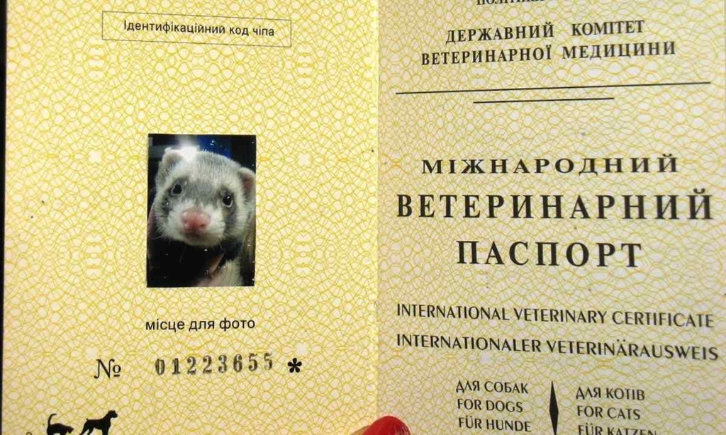 http://s01.geekpic.net/di-CZLG7X.jpeg