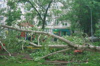 http://images.vfl.ru/ii/1496176960/ce369724/17406511_s.jpg
