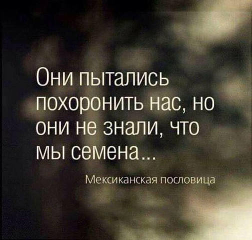 http://images.vfl.ru/ii/1551972754/a46c5ccc/25672918_m.jpg