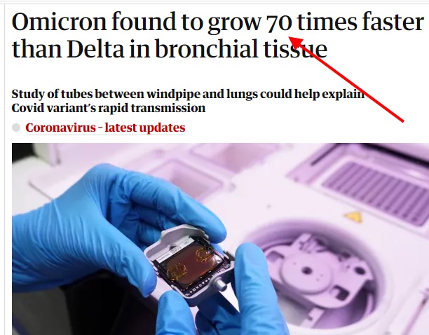 https://i.imgur.com/W3WGWB8.jpg