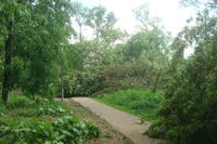 http://images.vfl.ru/ii/1496177527/9eebd04c/17406624_s.jpg
