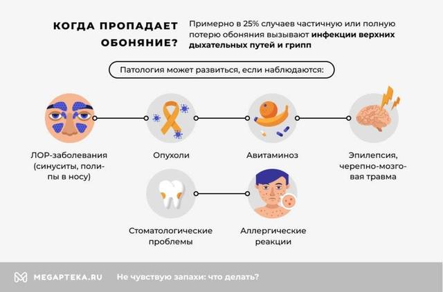 http://images.vfl.ru/ii/1624480714/6eec0bc8/34927554.jpg