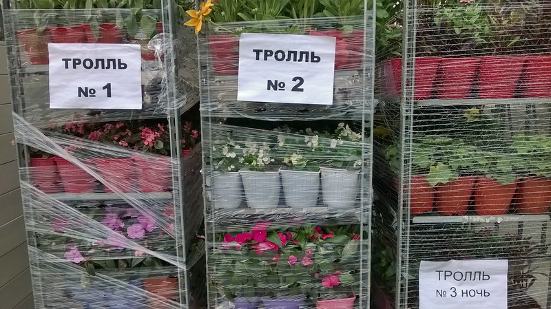 http://images.vfl.ru/ii/1567521016/19ece4a0/27748814.jpg